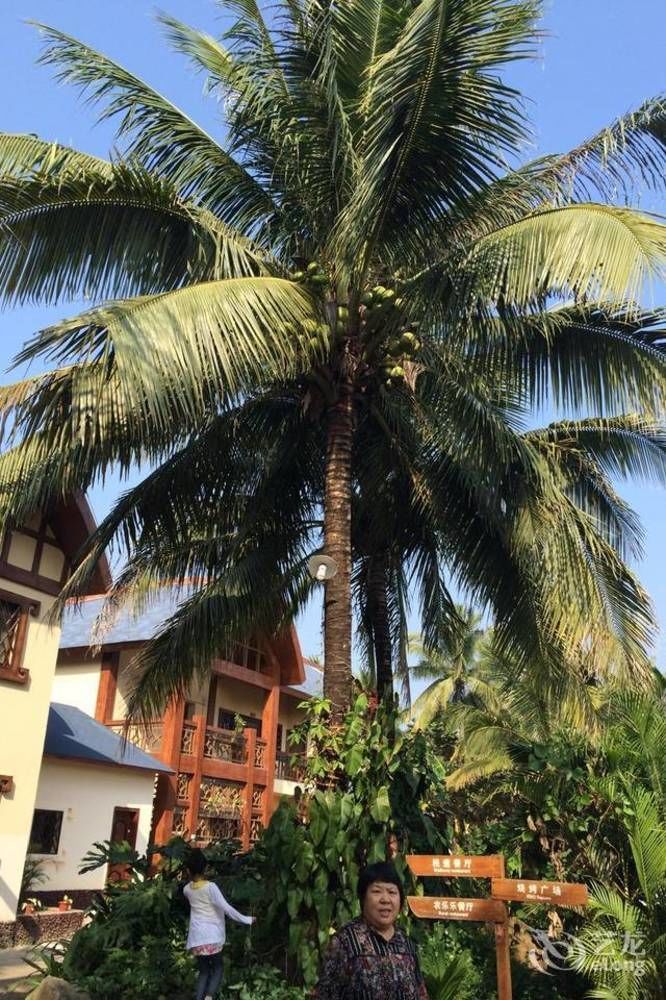Hainan Bulongsai Resort Hotel Баоцинь Экстерьер фото